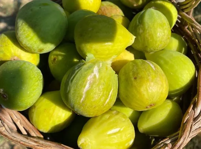 Oda ve Kahvaltı Al Centro -