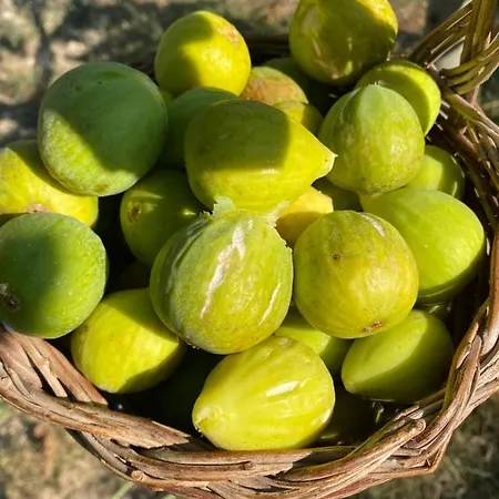 Bed and Breakfast Al Centro -